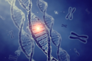 备孕期间男女要注意什么